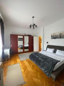 a bedroom with a large bed in a room at Rozelor Double Room in Timişoara