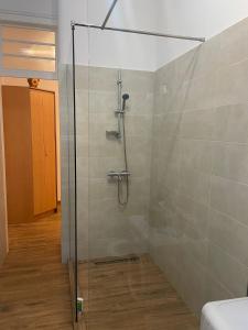 a shower with a glass door in a bathroom at Rozelor Double Room in Timişoara