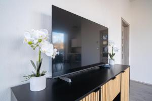 a television on a dresser with white flowers on it at Apartmán Nová Dragounská in Klatovy