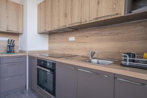 a kitchen with a sink and a stove at Apartmán Nová Dragounská in Klatovy +2 photos