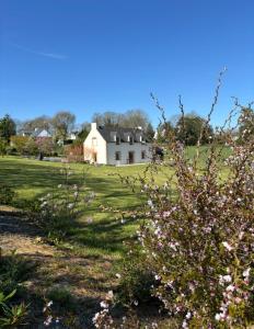 a house in a field with pink flowers at Iroise in Combrit