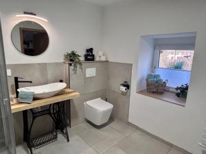 a bathroom with a toilet and a sink and a mirror at Ferien in Sachsen in Schmölln +75 photos