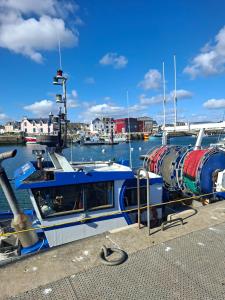 a blue and white boat parked at a dock at Studio Les 4 Vents in Tréffiagat