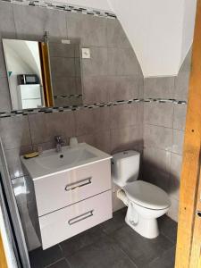 a bathroom with a toilet and a sink and a mirror at Tornac, La Madeleine in Tornac