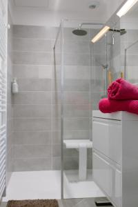 a bathroom with a glass shower stall and a sink at Le Studio de l 'Avenue 1 à 3 Personnes in Valence +68 photos