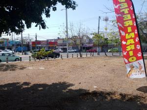 a sign on a tree in a dirt field at Rinconcito Veracruzano in Veracruz +6 photos
