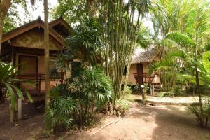 a house in the middle of a forest with palm trees at Aonang Lake Side in Ao Nang Beach