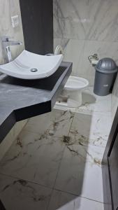 a bathroom with a sink and a toilet on a counter at Residencia de Lujo in Tapachula