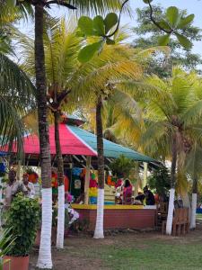 a group of palm trees in front of a store at El Ranchito de Turbo in Turbo