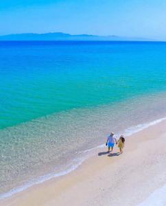 two people walking on a beach with a dog at Salty Sun Cabins Bahía Turquesa in La Ventana