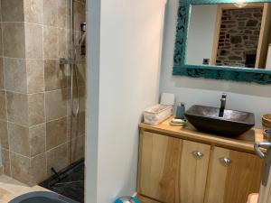 a bathroom with a sink and a shower with a mirror at La Grange des Loges in Boucé +29 photos