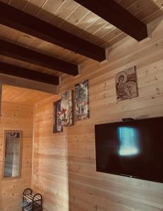 a flat screen tv in a room with wooden walls at Brvnare Nikolić in Zlatibor