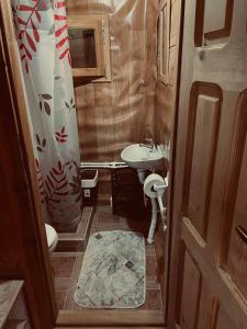 a small bathroom with a sink and a toilet at Brvnare Nikolić in Zlatibor +27 photos