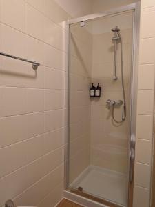 a shower with a glass door in a bathroom at Green Oasis Garda Apartment in Riva del Garda +16 photos