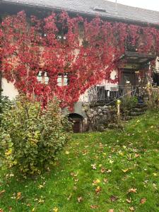 a house with red flowers on the side of it at Tinywohnung in Schluchsee +2 photos