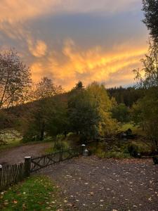a sunset over a field with a fence and trees at Tinywohnung in Schluchsee