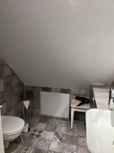 a bathroom with a toilet and a sink at Tinywohnung in Schluchsee