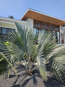 two palm trees in front of a house at Villa Mona in Nathon Bay