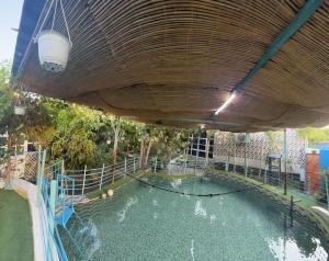 an overhead view of a swimming pool under an umbrella at Happiness Farm in Hatta