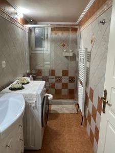 a bathroom with a shower and a sink and a washing machine at Casa Kelly Chios in Chios +21 photos