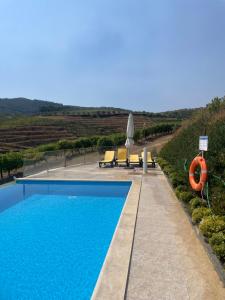 a swimming pool with a view of a vineyard at Quinta Teoria - Teoria Guest House in Sabrosa