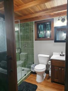 a bathroom with a toilet and a shower and a sink at Enchanted Jungle Treehouse in Spanish Lookout