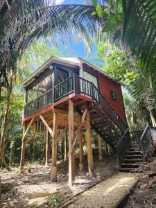 a house on wooden posts in the forest at Enchanted Jungle Treehouse in Spanish Lookout