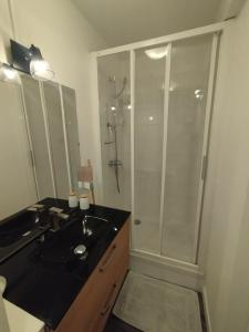 a bathroom with a black sink and a shower at Le Perret in Le Havre +22 photos