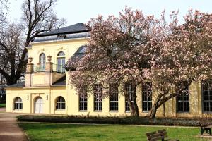 a yellow building with a tree in front of it at Altstadtblick Altenburg in Altenburg