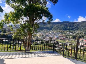a view of a city from a balcony with a tree at Regal Montara in Nuwara Eliya
