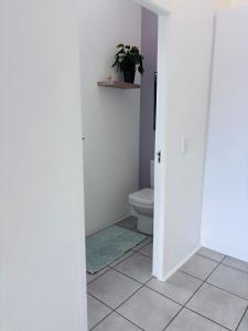a bathroom with a toilet and a plant on the wall at Capri Horizon Hideaway in Fish Hoek +6 photos