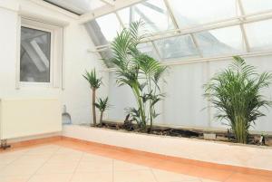 ein Gewächshaus mit Pflanzen darin in der Unterkunft 200m² Wohnung in Walldorf - SAP in Walldorf