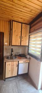 a small kitchen with a sink and wooden cabinets at Vikendica Pejovic in Žabljak