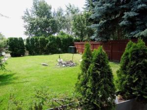 a yard with a fence and green grass and trees at Penzion Mirja in Hodkovice