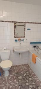 a bathroom with a toilet and a sink at Penzion Mirja in Hodkovice