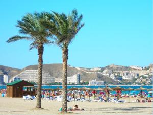 two palm trees on a beach with a crowd of people at Para, Descansa, Siente el mar - bienvenido a Cullera in Cullera