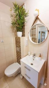 a bathroom with a sink and a toilet and a mirror at Apartament Motylek in Hajnówka
