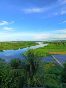 an aerial view of a river and a palm tree at Amazon Lodge Iquitos in Iquitos