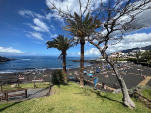 a beach with palm trees and a crowd of people at Seba Deluxe Home in Puerto de Santiago