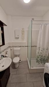 a bathroom with a shower and a toilet and a sink at Viktoria's Appartment 2 in OB-Mitte in Oberhausen
