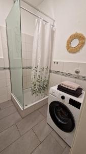 a washing machine in a bathroom with a shower at Viktoria's Appartment 2 in OB-Mitte in Oberhausen