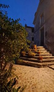 a set of stairs leading to a building with potted plants at Casa Odara suite centro storico in Calcata