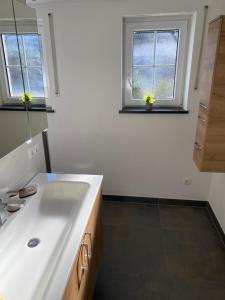 a bathroom with a white sink and two windows at Ferienwohnung unterm Äpflet in Furth im Wald +15 photos