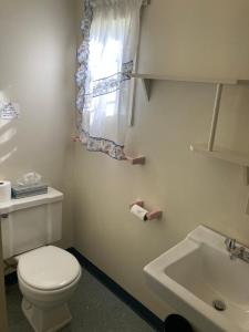 a bathroom with a toilet and a sink and a window at Inn at the Isles in Isle la Motte +29 photos