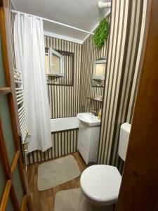 a small bathroom with a toilet and a sink at Lemora Apartments 3 in Focşani