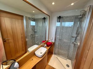 a bathroom with a shower and a sink and a toilet at Vollholz-Ferienhaus Herbert's Alte Gärtnerei im Naturpark Zittauer Gebirge in Hainewalde