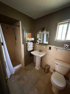 a bathroom with a toilet and a sink at Priest Station Cafe & Cabins in Groveland