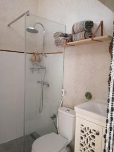 a bathroom with a shower and a toilet and a sink at Dar Halima in Rabat +56 photos