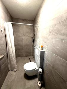 a bathroom with a toilet and a shower at BH Haus in Bremerhaven