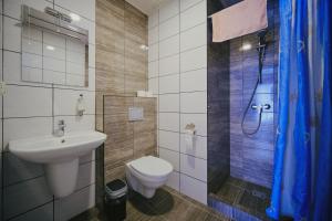 a bathroom with a sink and a toilet and a shower at Kaimo turizmo sodyba "Ąžuola" in Vainutas